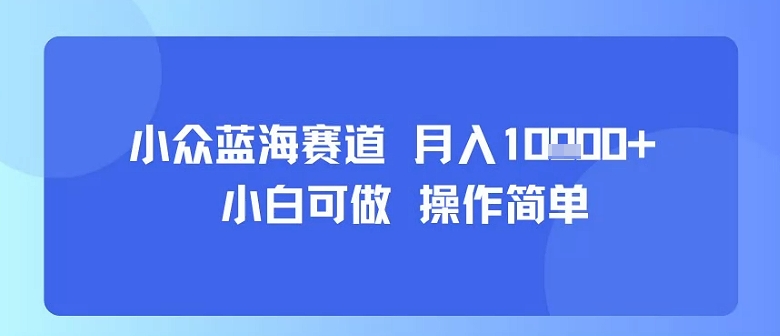 小众蓝海赛道，小白可做，操作简单，每天30分钟，月入1W+-副业网