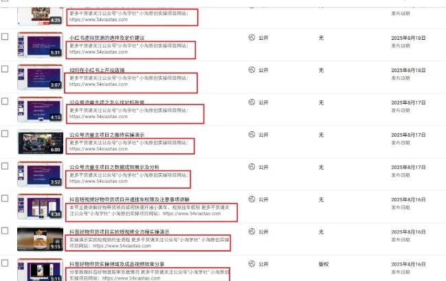 图片[2]-2025油管引流术，分享我是如何通过油管做引流的-副业网