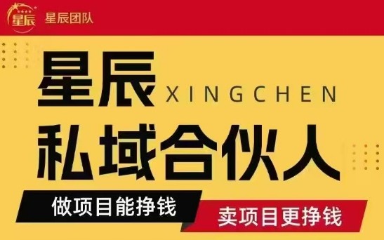 全网首发星辰私域项目合集，最新实操玩法，短期快速实现变现-副业网