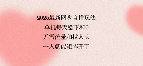 2025最新网盘自撸玩法，单机每天稳下3张，无需流量和拉人头，一个人就可轻松矩阵，全网独一份【揭秘】-副业网