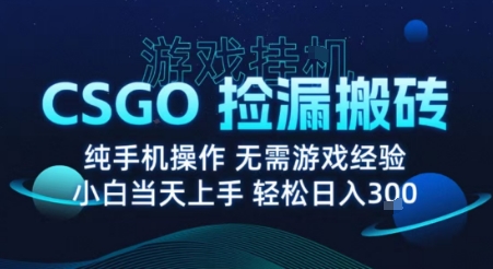 8月最新游戏搬砖，CSGO纯挂G，不需要玩游戏，实现真挂G，月入1W+【揭秘】-副业网