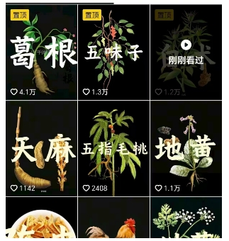 图片[2]-抖音中草药赛道，用AI做中草药故事视频，45条作品涨粉13W，橱窗带货猛猛出单-副业网