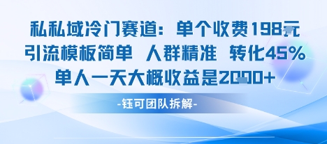 私域冷门赛道单个收费198米引流模板简单人群精准 45%的转化率单人一天大概收益多张-副业网