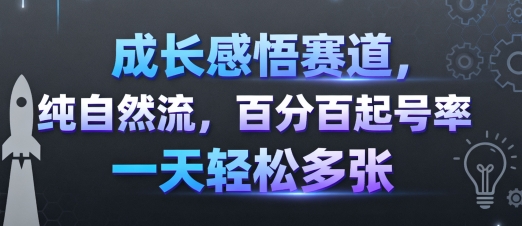 成长感悟赛道，纯自然流，百分百起号率 一天轻松多张-副业网