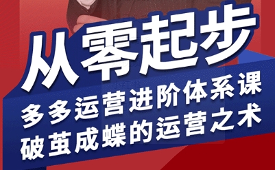 拼多多运营进阶系统课，从零起步，多多运营进阶体系课，破茧成蝶的运营之术(更新9月)-副业网