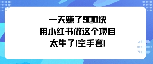 一天挣了9张用小红书做这个项目太牛了，空手套-副业网