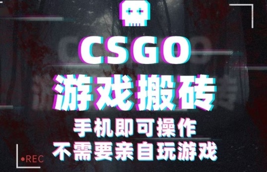 CSGO游戏挂G捡漏，单日扫货5张+，年底小高峰上车可吃肉，手机即可操作，兼职副业创业网创【揭秘】-副业网