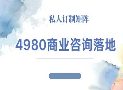 4980商业咨询师落地课程-ip运营高客单教程-副业网