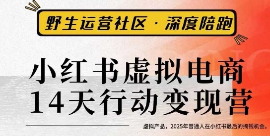 小红书虚拟电商14天变现训练营3.0，​虚拟产品，2025年普通人在小红书最后的搞钱机会-副业网