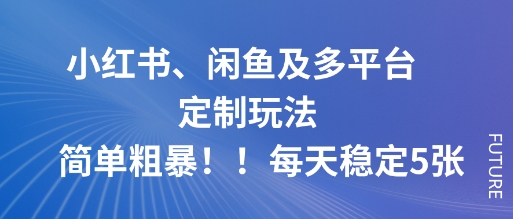 小红书、闲鱼及多平台定制玩法简单粗暴！每天稳定5张-副业网