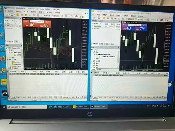 图片[6]-美金对冲创业项目，日收益1000-3000，小众暴力项目稳定运行8年-副业网