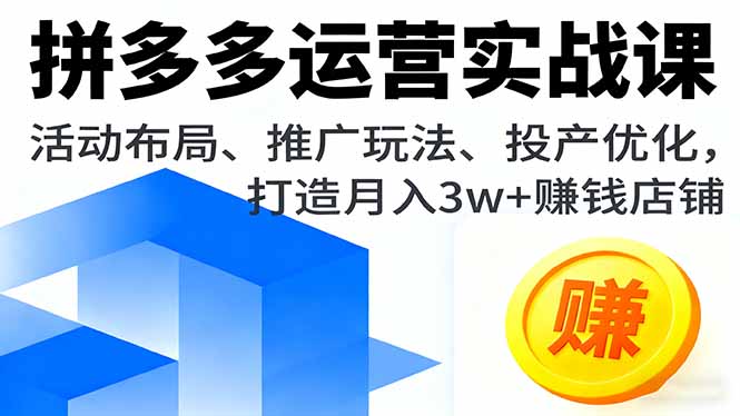 拼多多运营实战课，活动布局、推广玩法、投产优化，打造月入3w+赚钱店铺-副业网