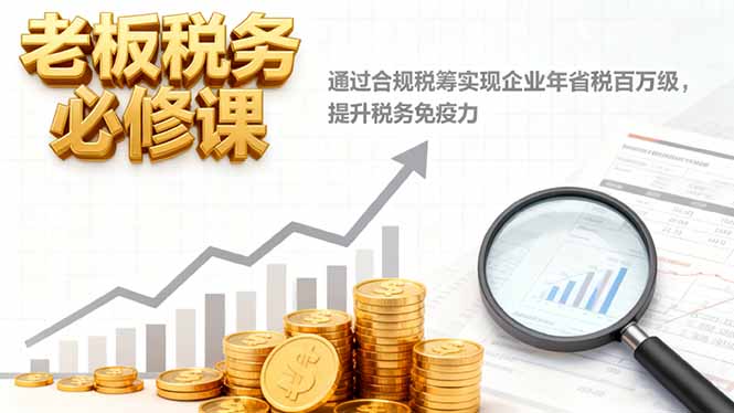 老板税务必修课，通过合规税筹实现企业年省税百万级，提升税务免疫力-副业网