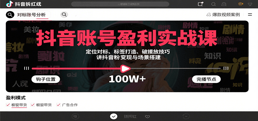 抖音账号盈利实战课，定位对标、标签打造、破播放技巧，讲涨粉变现与场景搭建-副业网