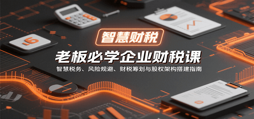 老板必学企业财税课：智慧税务、风险规避、财税筹划与股权架构搭建指南-副业网