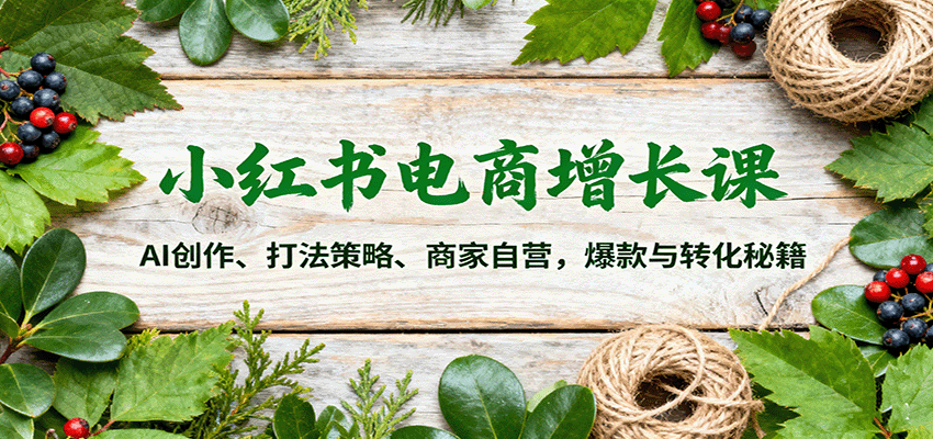 小红书电商增长课：AI创作、打法策略、商家自营，爆款与转化秘籍-副业网