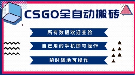 CSGO全自动搬砖，年底钱回家好项目，当天可拿到结果，新手小白轻松月入1W+【揭秘】-副业网