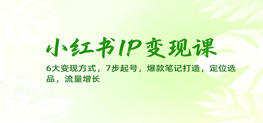 小红书IP变现课：6大变现方式，7步起号，爆款笔记打造，定位选品，流量增长-副业网