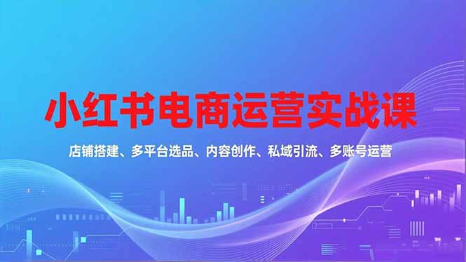 小红书电商运营实战课，店铺搭建、多平台选品、内容创作、私域引流、多账号运营等玩法-副业网