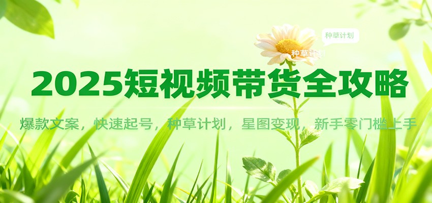 2025短视频带货全攻略：爆款文案，快速起号，种草计划，星图变现，新手零门槛上手-副业网