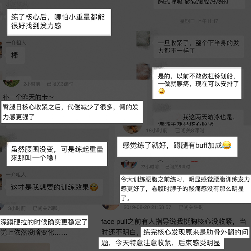 一介粗人健身核心训练营第2期-副业网