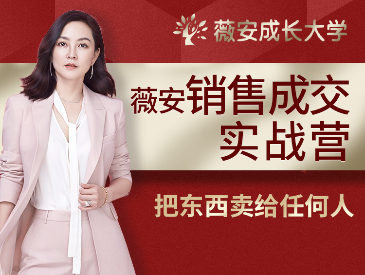 薇安28天销售高手训练营-副业网