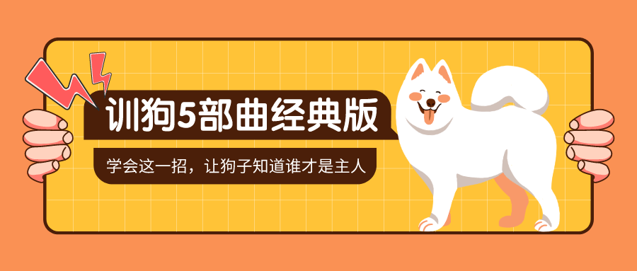 训狗五部曲 养狗不再麻烦-副业网