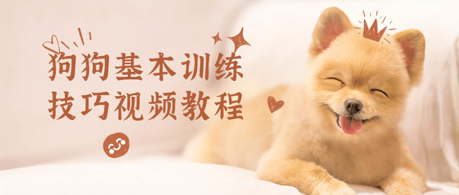 狗狗基本训练技巧视频教程-副业网