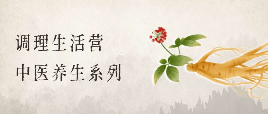 调理生活营：中医养生系列-副业网