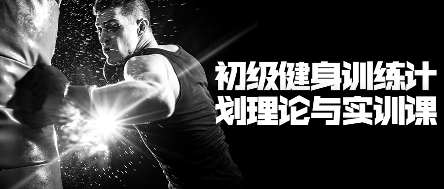 初级健身训练计划理论与实训课-副业网
