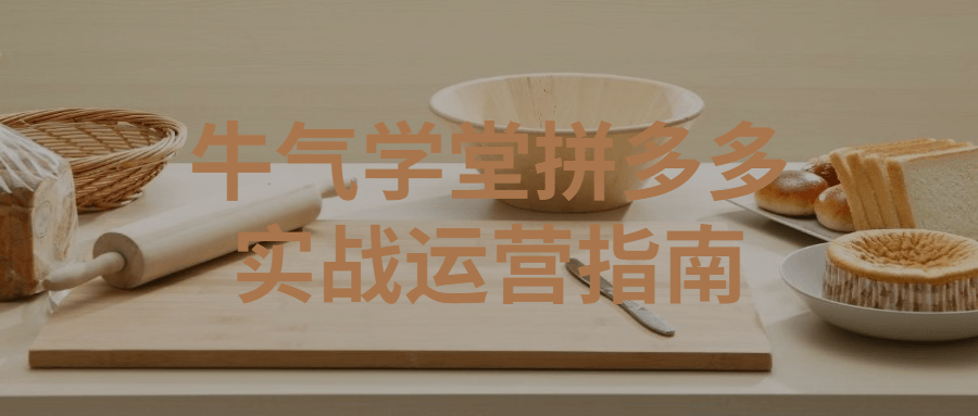 牛气学堂拼多多实战运营指南-副业网