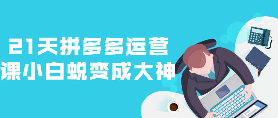 21天拼多多运营课小白蜕变成大神-副业网