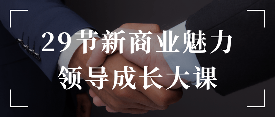 29节新商业魅力领导成长大课-副业网