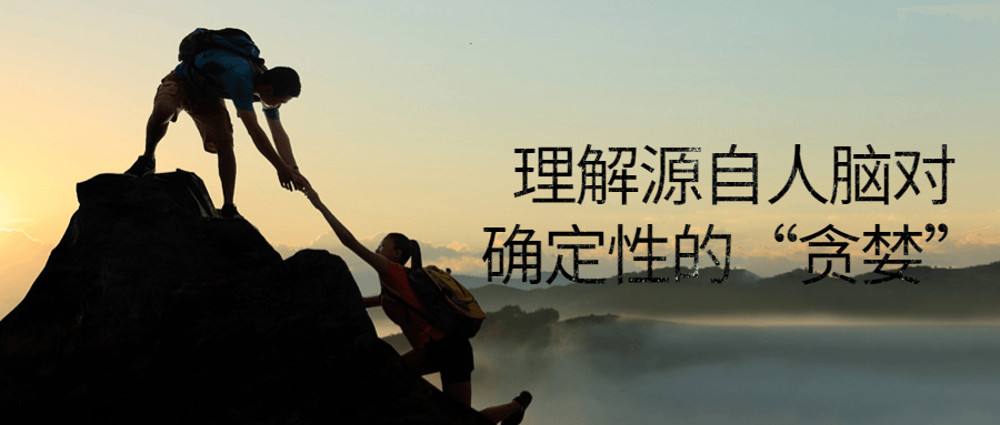 理解源自人脑对确定性的“贪婪”-副业网