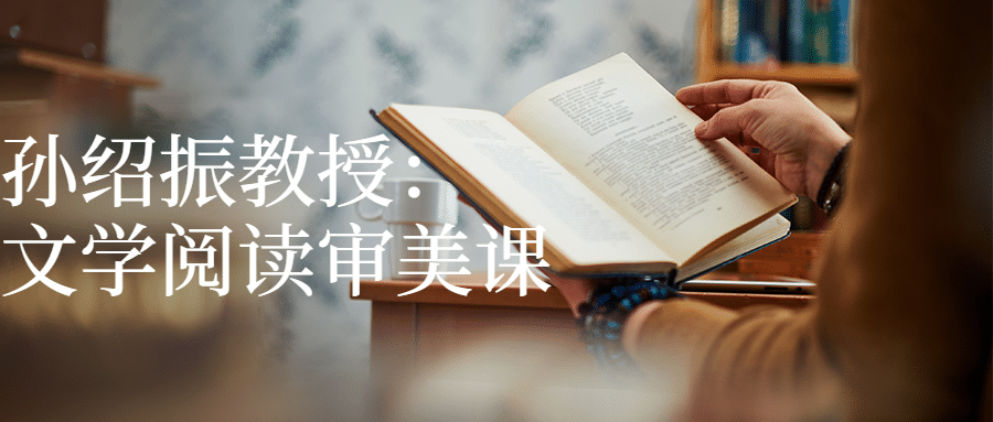 孙绍振教授：文学阅读审美课-副业网