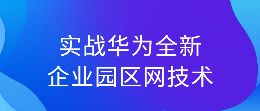 实战华为全新企业园区网技术-副业网