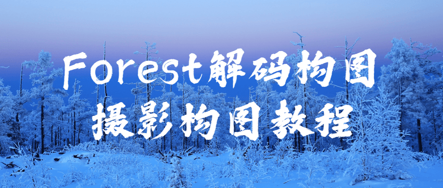 Forest解码构图摄影构图教程-副业网