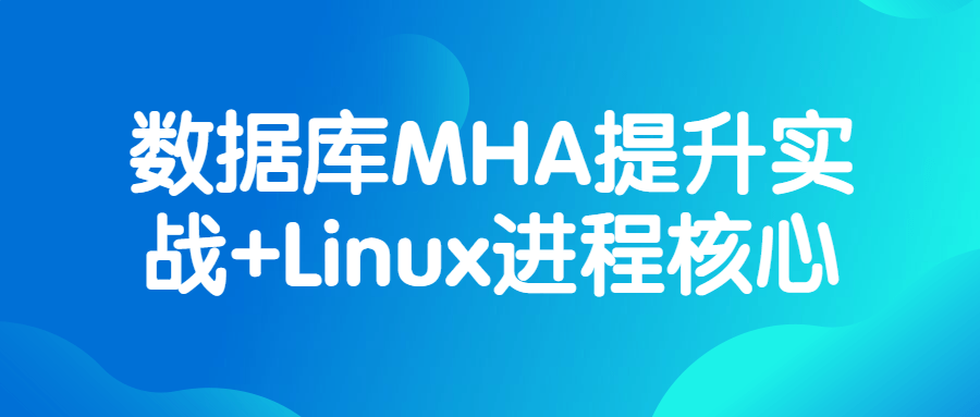 数据库MHA提升实战+Linux进程核心-副业网