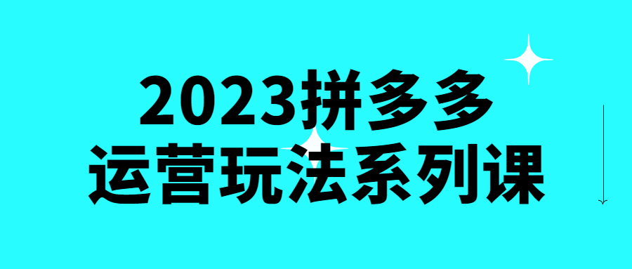 2023拼多多运营玩法系列课-副业网