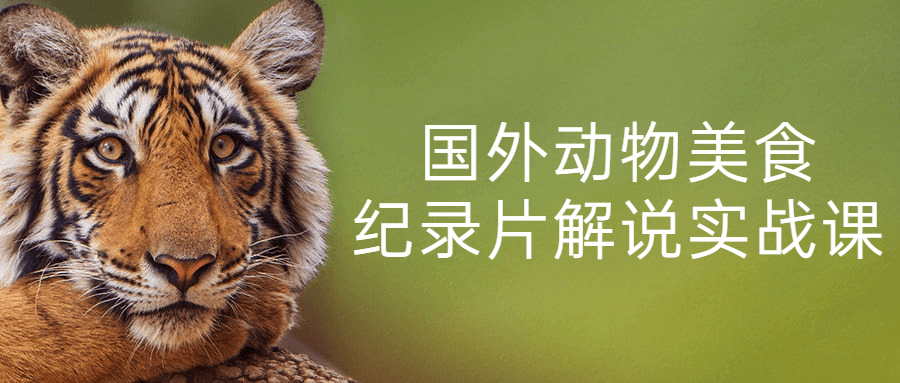 国外动物美食纪录片解说实战课-副业网