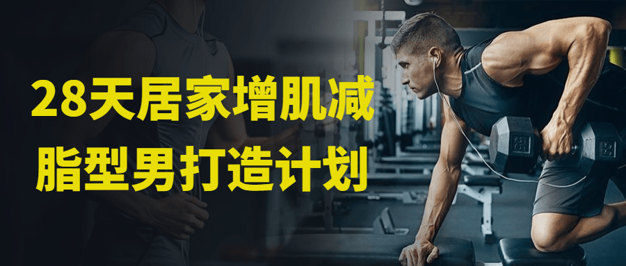 28天居家增肌减脂型男打造计划-副业网