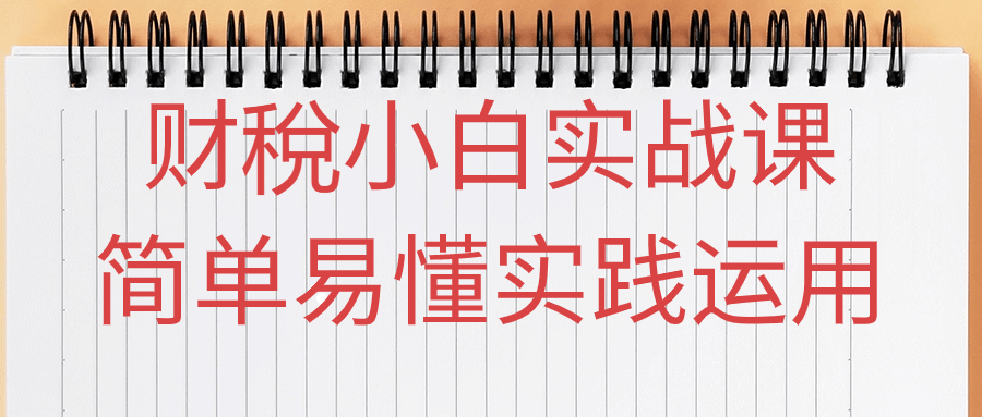 财稅小白实战课简单易懂实践运用-副业网