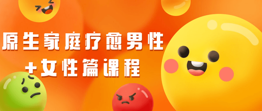 原生家庭疗愈男性+女性篇课程-副业网