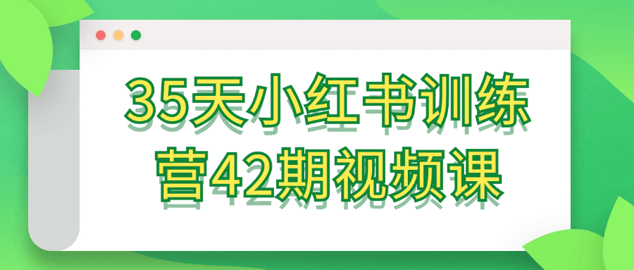 35天小红书训练营42期视频课-副业网