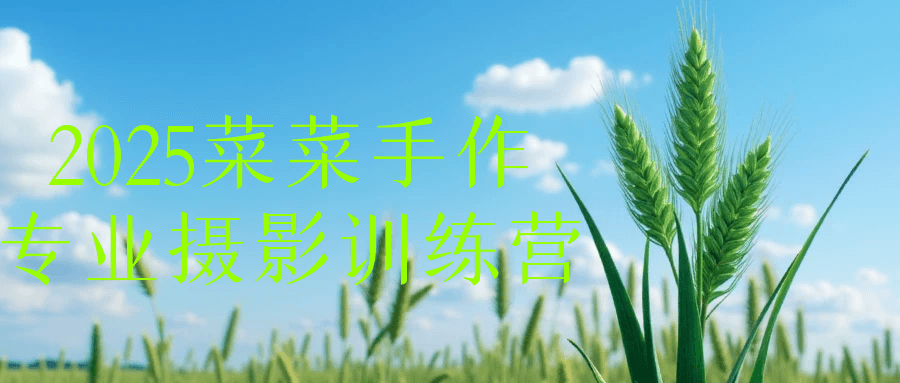 2025菜菜手作专业摄影训练营-副业网