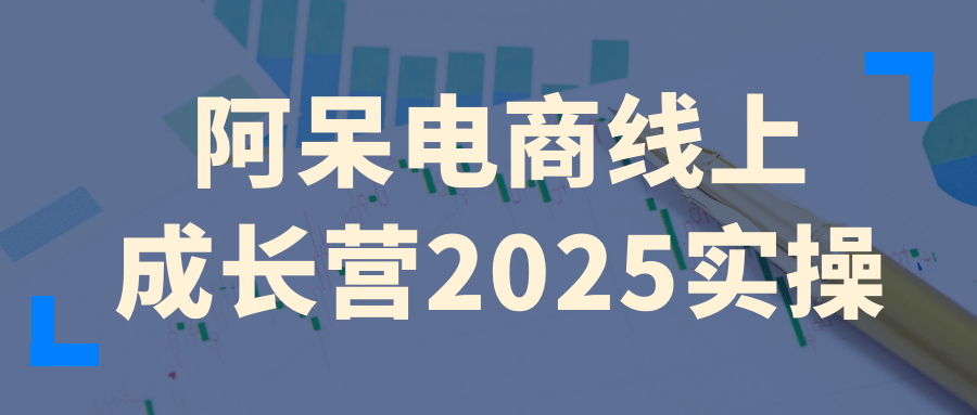 阿呆电商线上成长营2025实操-副业网