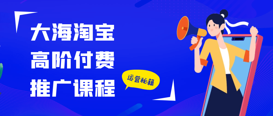 大海淘宝高阶付费推广课程-副业网