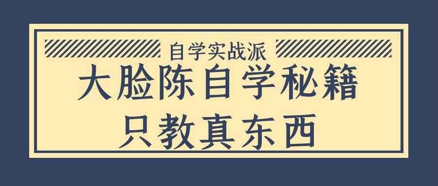 大脸陈自学秘籍只教真东西-副业网