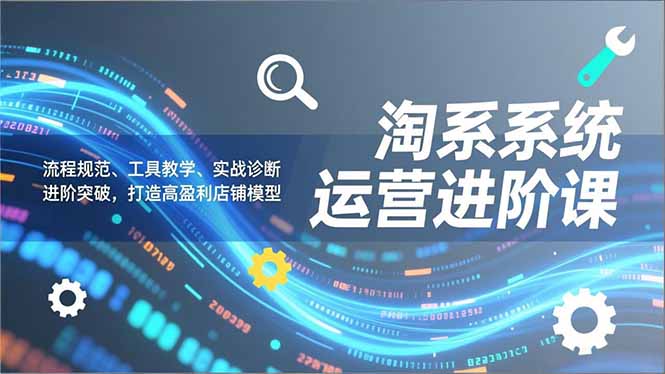 淘系系统运营进阶课2.0，流程规范、工具教学、实战诊断，进阶突破，打造高盈利店铺模型-副业网