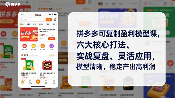 拼多多可复制盈利模型课，六大核心打法、实战复盘、灵活应用，模型清晰，稳定产出高利润-副业网